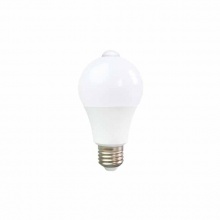 綠鋒 LED人體感應球泡燈泡 BB305CW 3W 65K