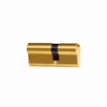 金點(diǎn)原子6070 中心雙開插芯鎖鎖芯(帶蓋)