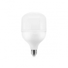 飛利浦(PHILIPS)LED天棚燈泡 30W E27 4000K